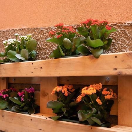 فندق Casa Mirto بوسا المظهر الخارجي الصورة