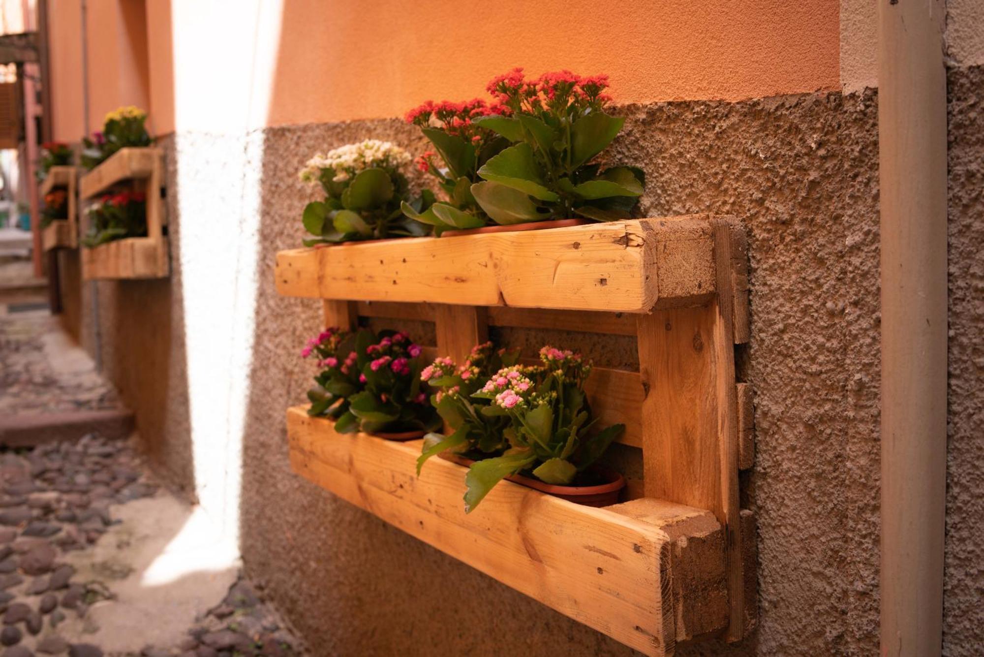 فندق Casa Mirto بوسا المظهر الخارجي الصورة